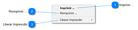 Menu do Botão Imprimir