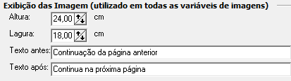 3. Exibição das Imagens (utilizado em todas as variáveis de imagens)