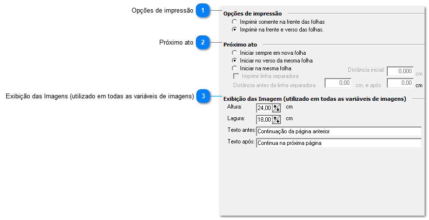 Opções de impressão